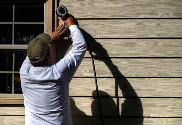 Best Siding Painting and Refinishing  in Elmendorf, TX